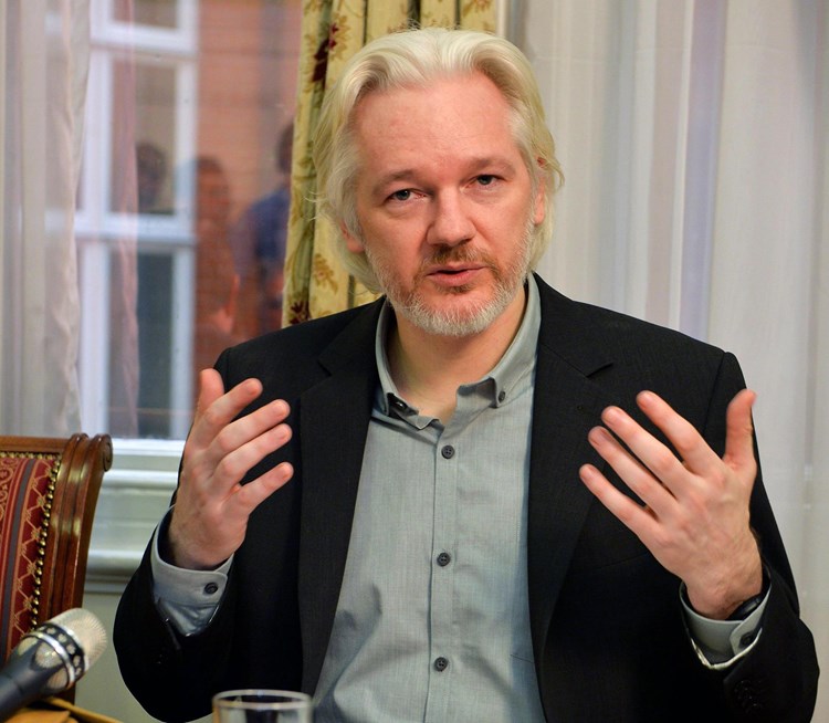 Julian Assange (totpi.com)