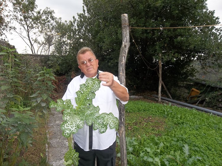 Anton Jukopila u svom vrtu u Oprtlju