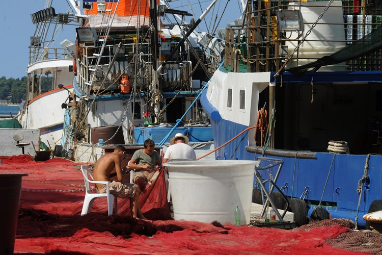 Tradicijska grana nije prijetnja hrvatskom ribljem fondu i profesionalnim ribarima (M. MIJOŠEK)