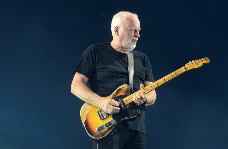 David Gilmour (D. ŠTIFANIĆ)