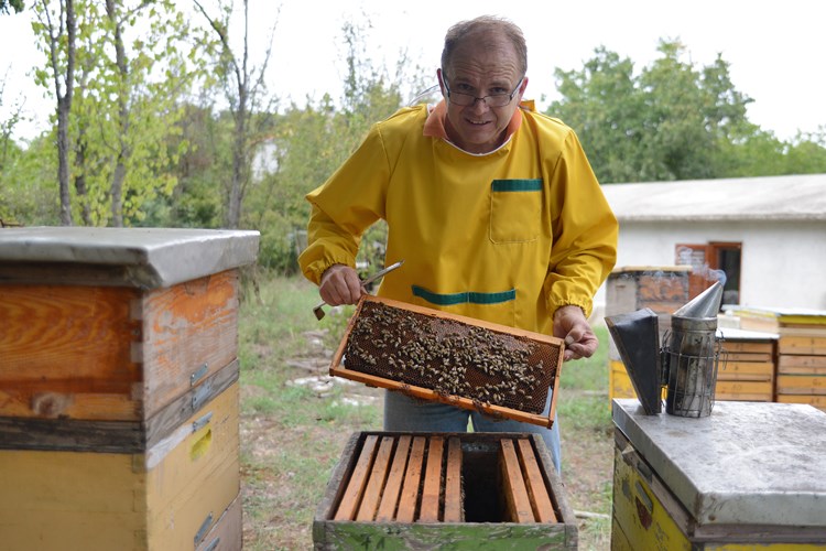 Miro Bulić: Trebalo je uložiti puno truda da se pčele održe u kondiciji (M. ANGELINI)