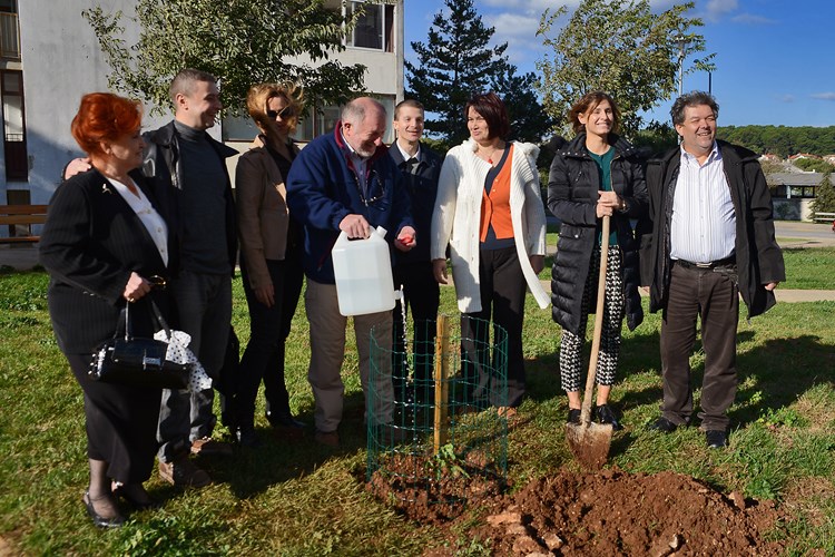 Predstavnici stranke u Puli su posadili orah (M. ANGELINI)