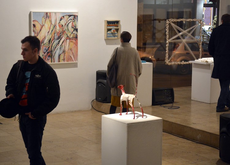Natječaj se odnosi na izložbe u Galeriji Luka, Galeriji Mul i Galeriji Anex u Istarskoj 30 u Puli (Neven LAZAREVIĆ)