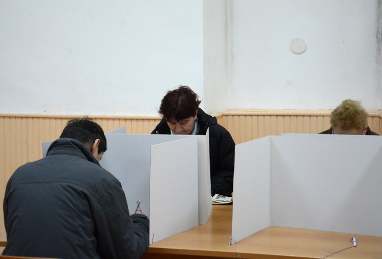 Izbori za mjesne odbore u gradu Puli (D. MEMEDOVIĆ)