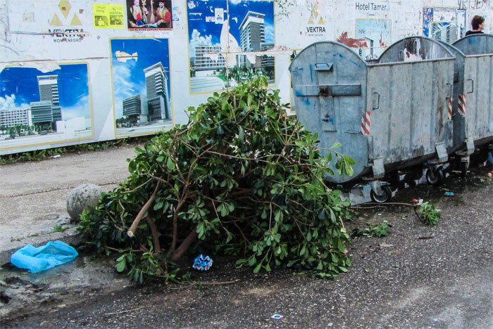 Zeleni otpad moguće je kompostirati (Ilustracija/Arhiva)