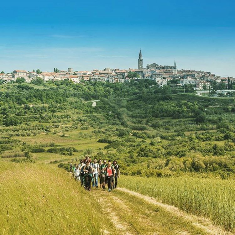 Drugi Istrian Wine and walk - šetnja osunčanim bujskim vinogorjem