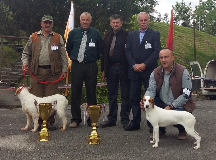 Serđo Valentić, Ante Bilać, Milan Čulinović, Darko Martinović i Danijel Špoljarić s nagrađenim psima