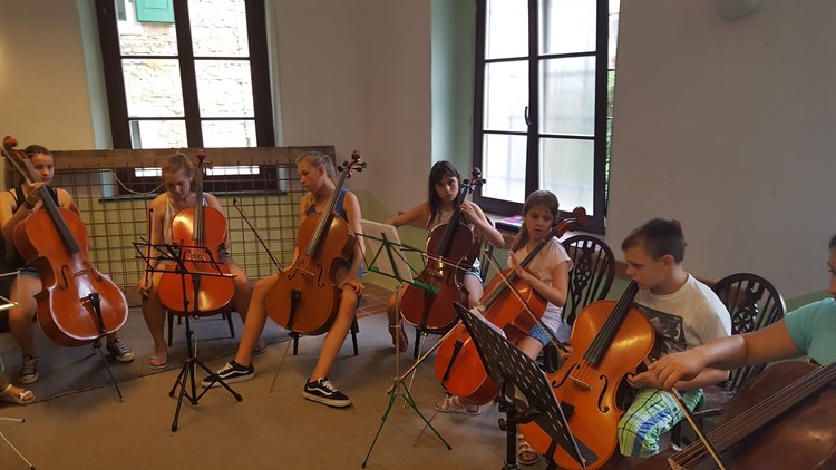 Polaznici tečaja violončela