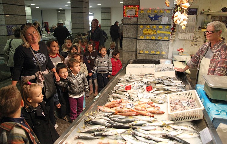 Svježe ribe ima dovoljno u Istri, treba je samo pripremiti za ustanove