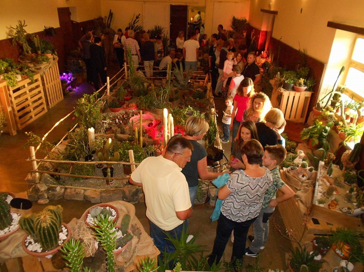 Peta izložba kaktusa i sukulenata u Žminju privukla je mnoštvo znatiželjnika