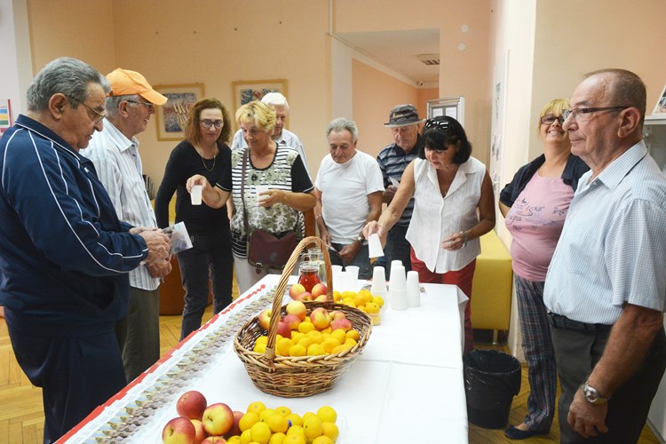 Forum seniora pulskog SDP-a posjetio Čitaonicu  za umirovljenike na Giardinima  (D. MEMEDOVIĆ)