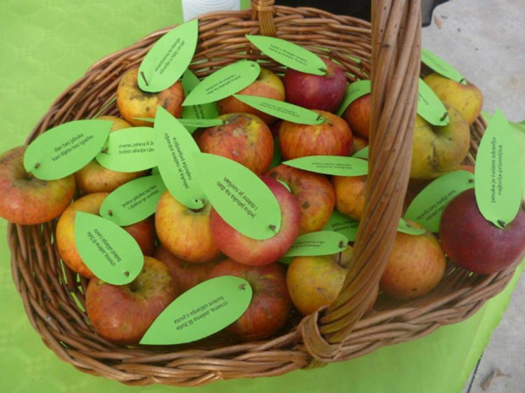 Jabuke s porukom eko tržnice