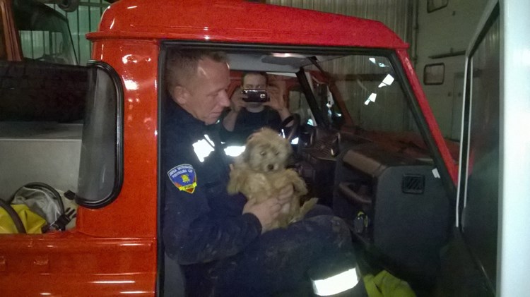 Pripadnici JVP-a Poreč spasili su psića iz duboke jame (Foto: JVP Poreč)