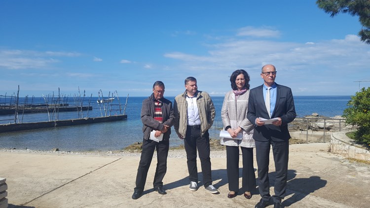 Dario Penco, Silvano Pelizzon, Floriana Bassanese Radin i Vili Bassanese - u pozadini gruje