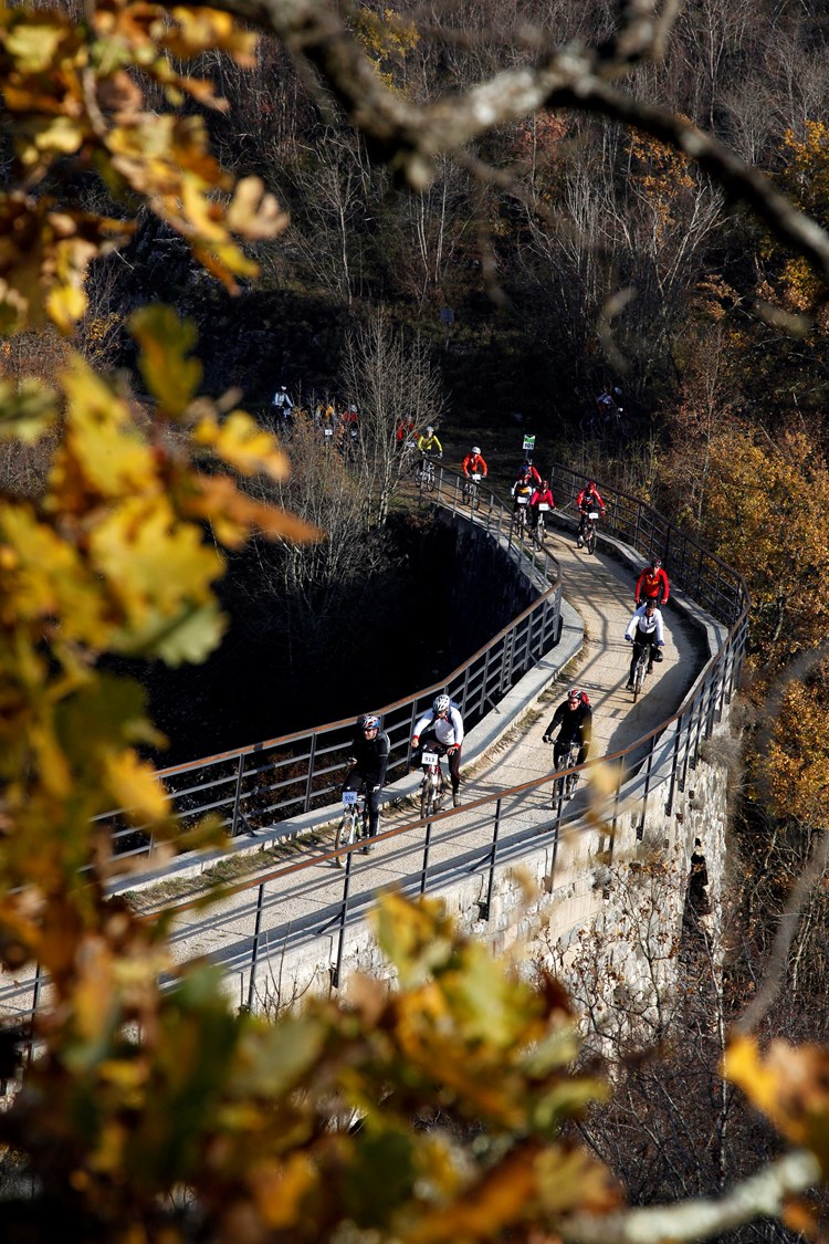 Biciklistička trasa Parenzane vrlo je atraktivna turistima (G. ŠEBELIĆ/CROPIX)