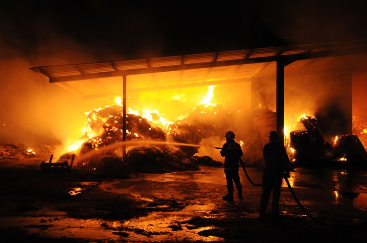 Požar na stočnoj farmi u Čepiću nije podmetnut (D. ŠTIFANIĆ)