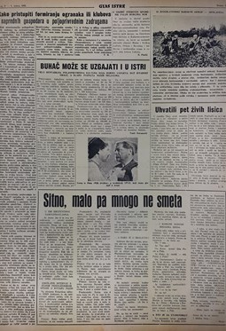 Glas Istre: petak, 8. srpanj 1955. - stranica 3