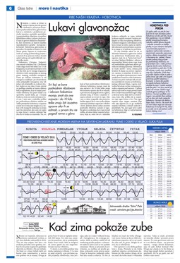 Glas Istre: petak, 29. siječanj 2010. - stranica 29